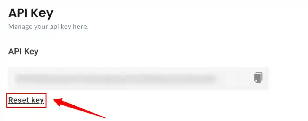 Generated API key ready to copy in CustomerLabs
