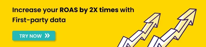 Increase your ROAS by 2X times with First party data using Customerlabs 1PD Ops