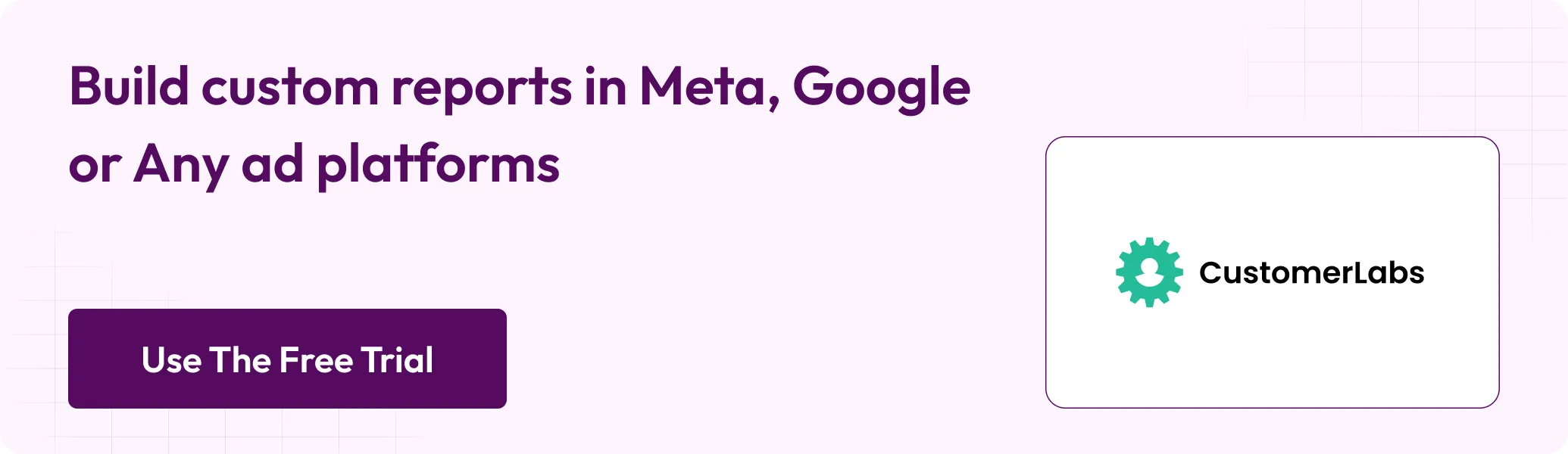 Build custom reports in Meta, Google or any ad platform with CustomerLabs