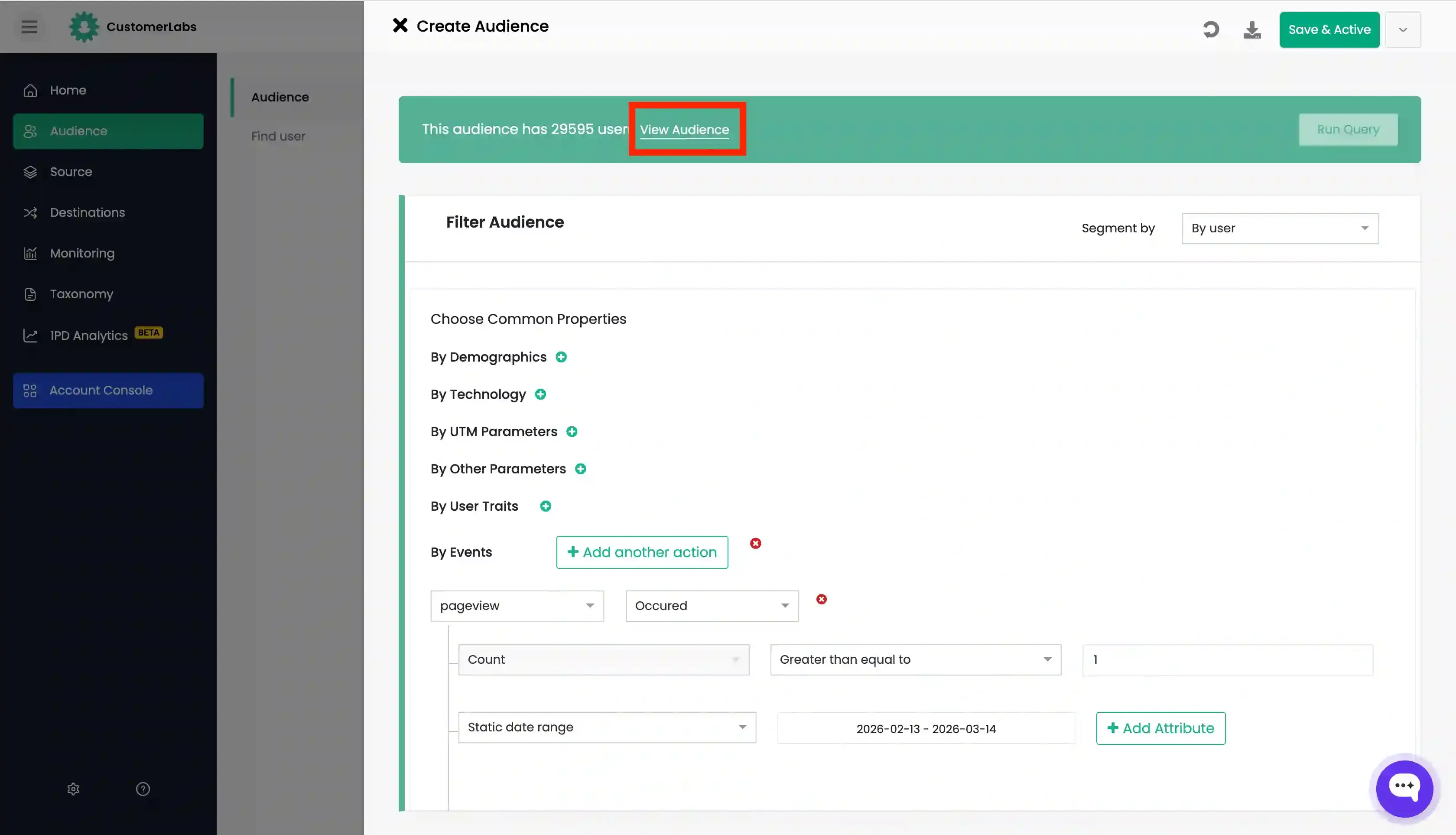 View Audience in CustomerLabs