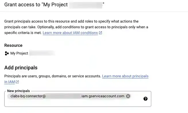 Grant access panel with CustomerLabs service account entered