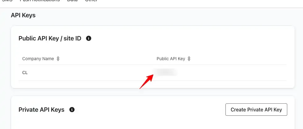 Klaviyo Public API Key