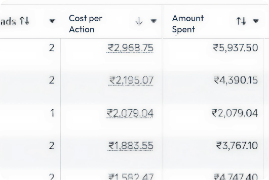 Campaign performance table showing cost per action doubling as the algorithm falls back to broad targeting.