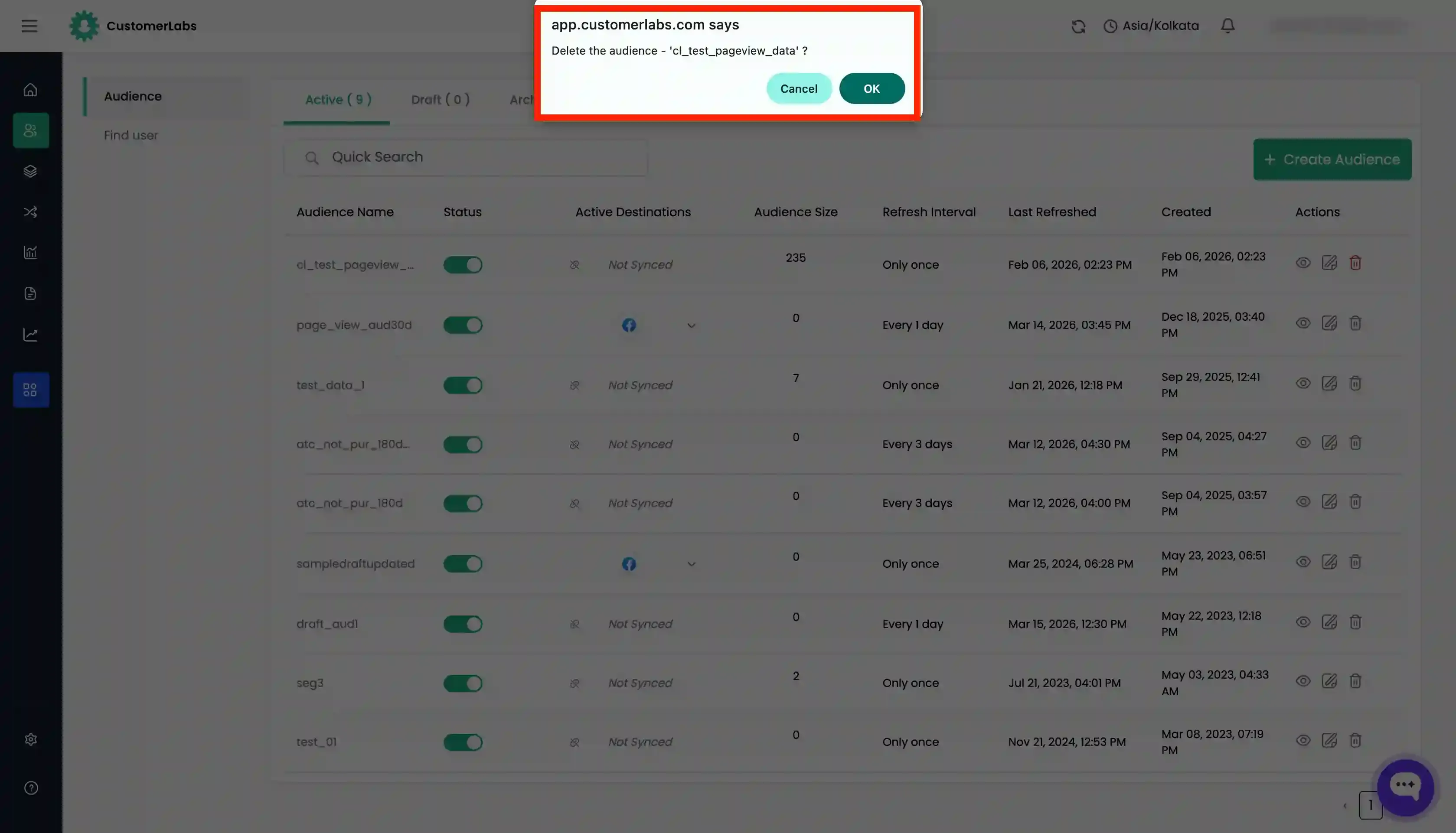 Deleting audience in customerlabs