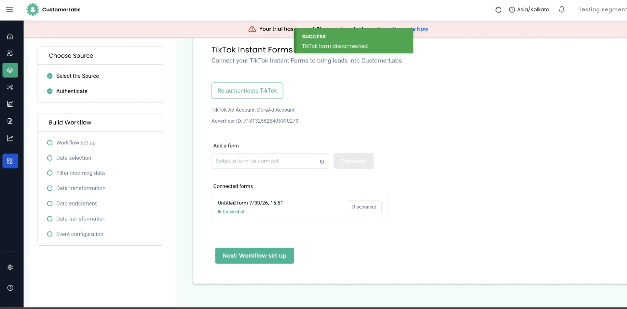 Success message confirming the TikTok form was disconnected