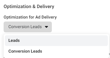 Leads vs Conversion Leads