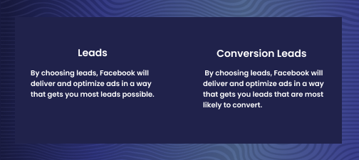 Leads vs Conversion Leads