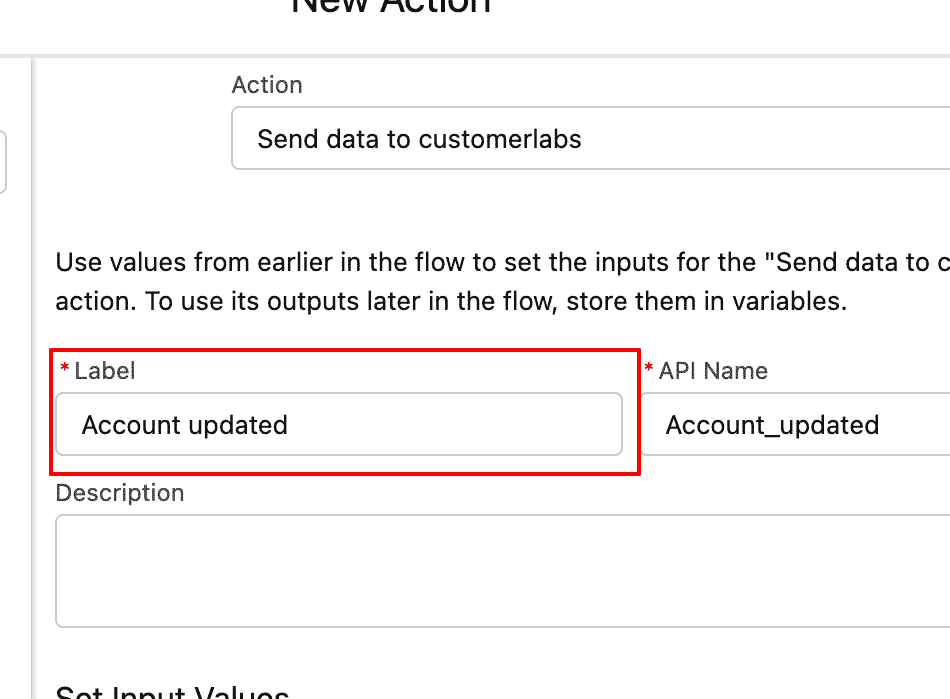 Adding the label for the action and giving API name screen in Salesforce