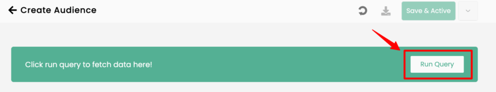 This image explains that the runquery  setup in create audience