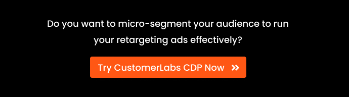 CTA with the text Do you want to micro-segment your audience to run your retargeting ads effectively. Try CustomerLabs CDP Now.