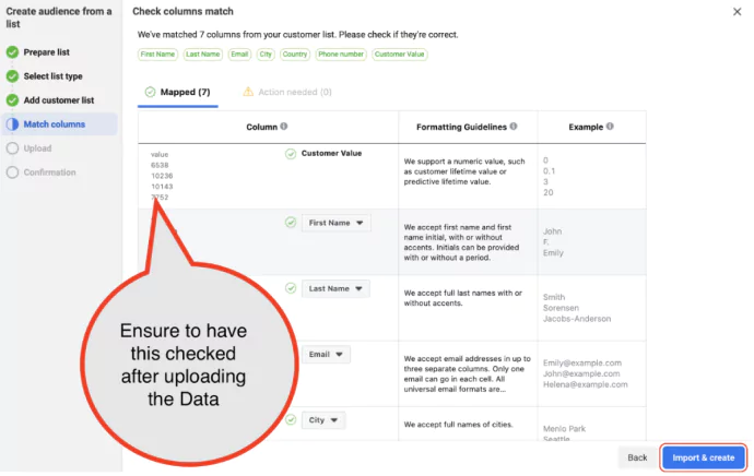 The screenshot is the next step in creating value based lookalike audience wherein after uploading the custom file, check if the values are shown correctly.