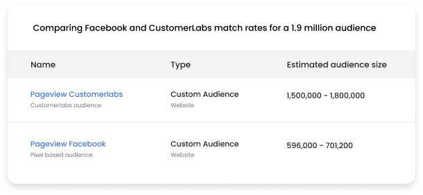 custom-audience