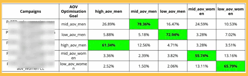 This table shows the brand that worked and got a results by their custom audience segments.