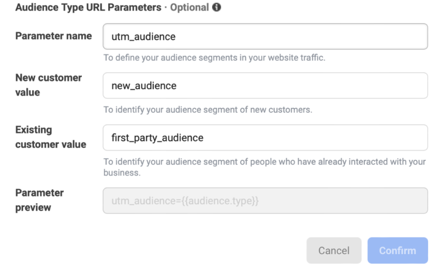 This screenshot explains the audience type URL parameters.
