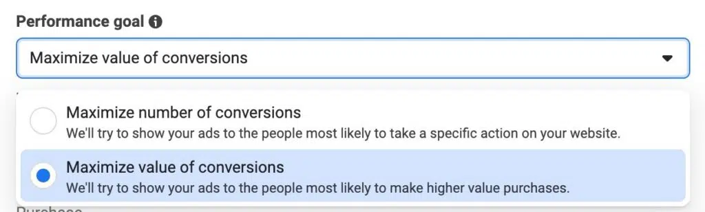 This is an image that show how to set up conversion value inside meta