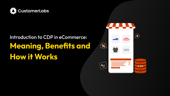 Introduction to Customer Data Platforms in eCommerce: Meaning, Benefits and How it Works