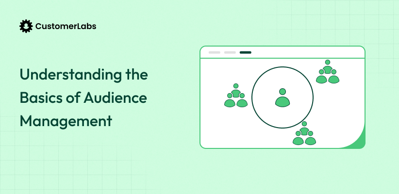 Understanding the Basics of Audience Management
