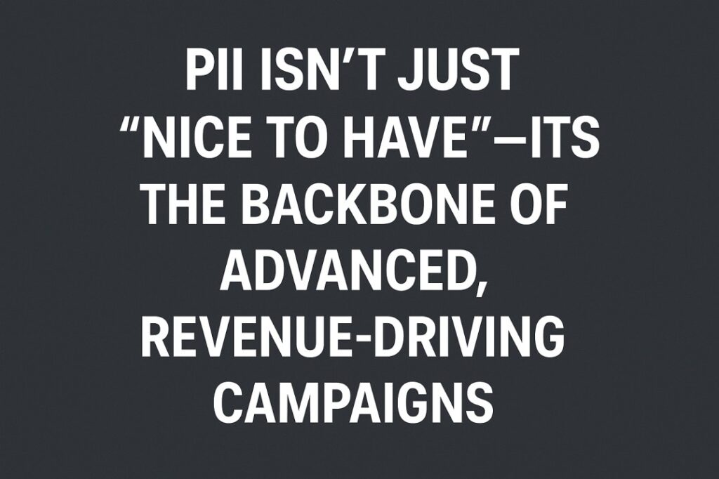 This image explains the quote text - PII isn't just nice to have - its the backbone od advanced revenue driving campaigns