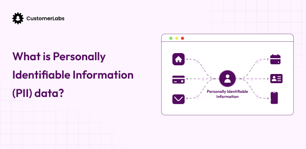 What is PII (Personally Identifiable Information) Data?