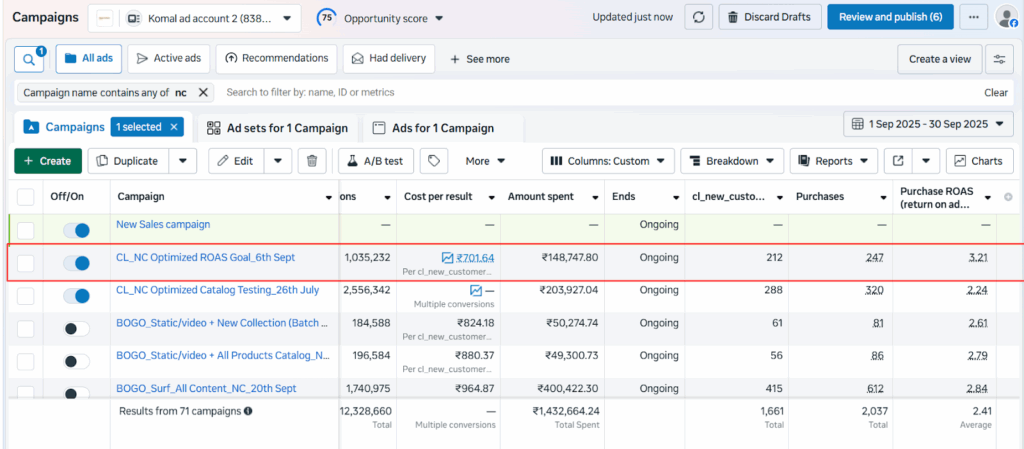 this image shows the results of the new customer purchase campaign where out 247 overall purchases, 212 is from new customers.